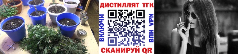 ТГК THC oil  Чулым 